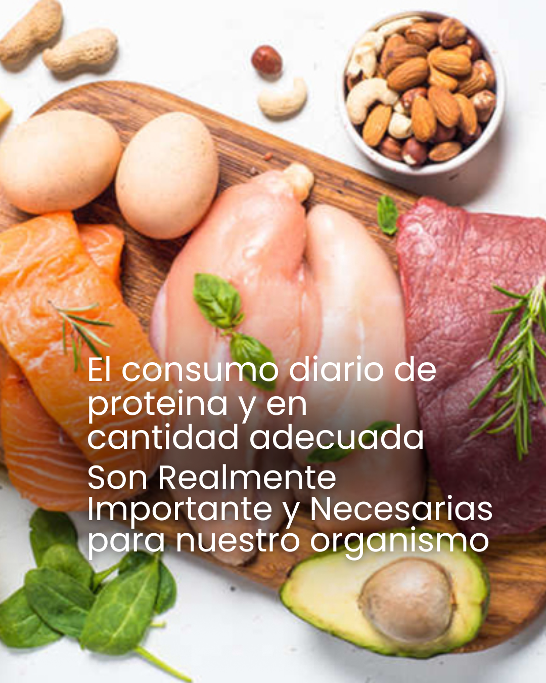 PROTEINAS